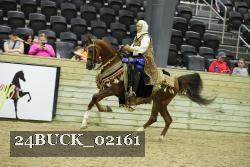 24BUCK_02161 proof
