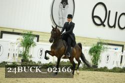 24BUCK_02166 proof