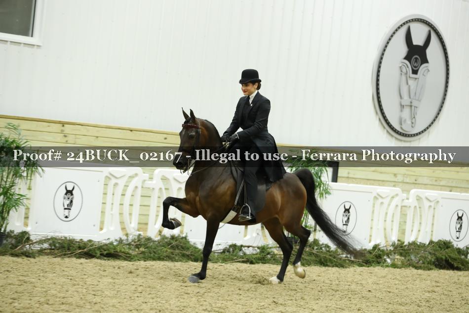 Proof 24BUCK_02167