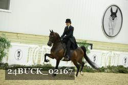 24BUCK_02167 proof