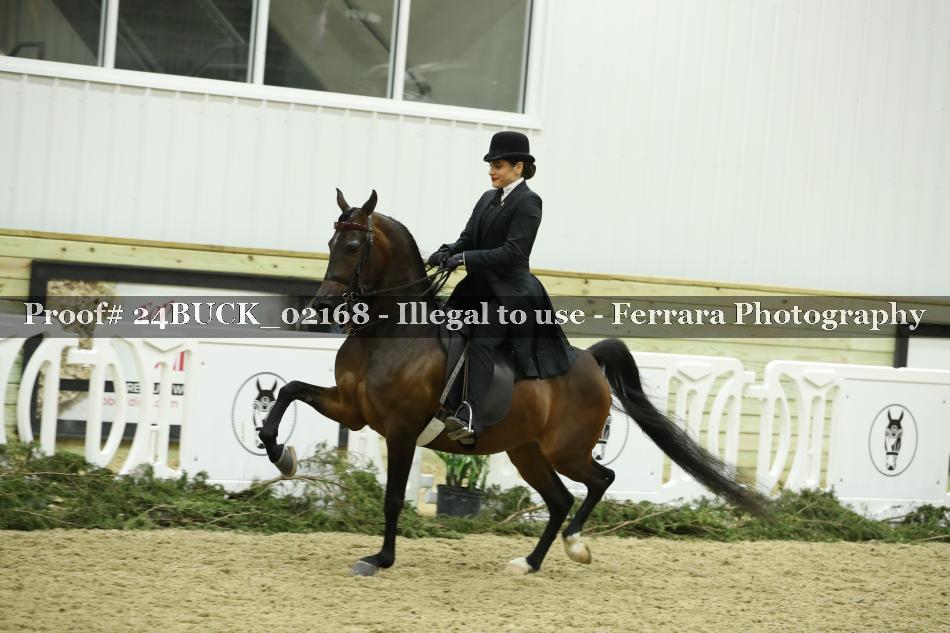 Proof 24BUCK_02168