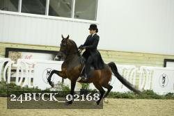 24BUCK_02168 proof