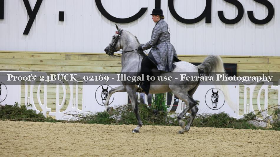 Proof 24BUCK_02169
