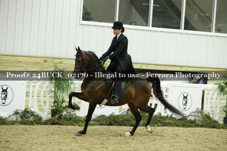 Proof 24BUCK_02170