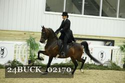 24BUCK_02170 proof