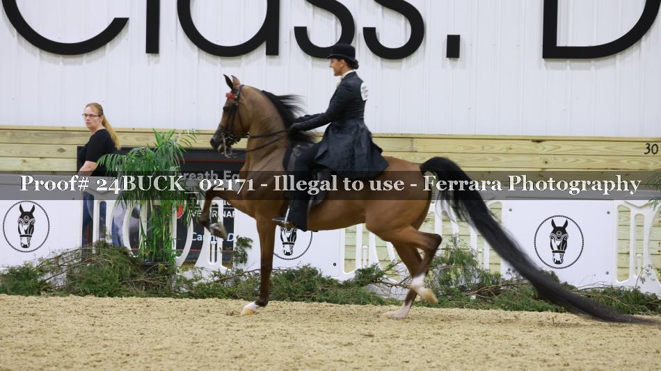 Proof 24BUCK_02171