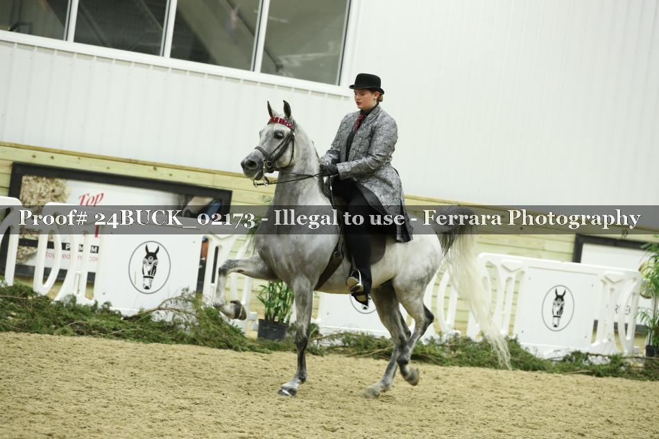 Proof 24BUCK_02173