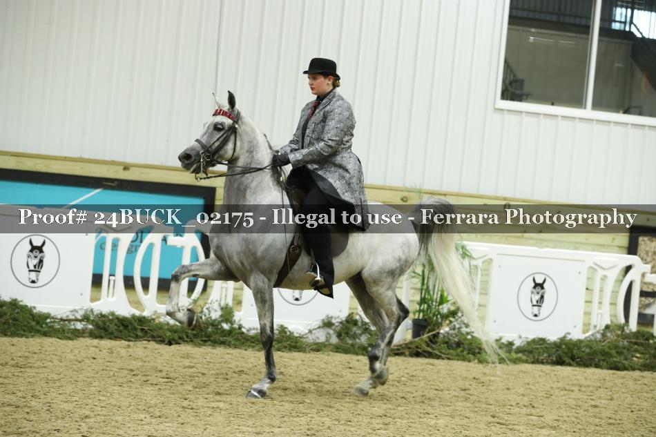 Proof 24BUCK_02175