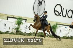 24BUCK_02176 proof