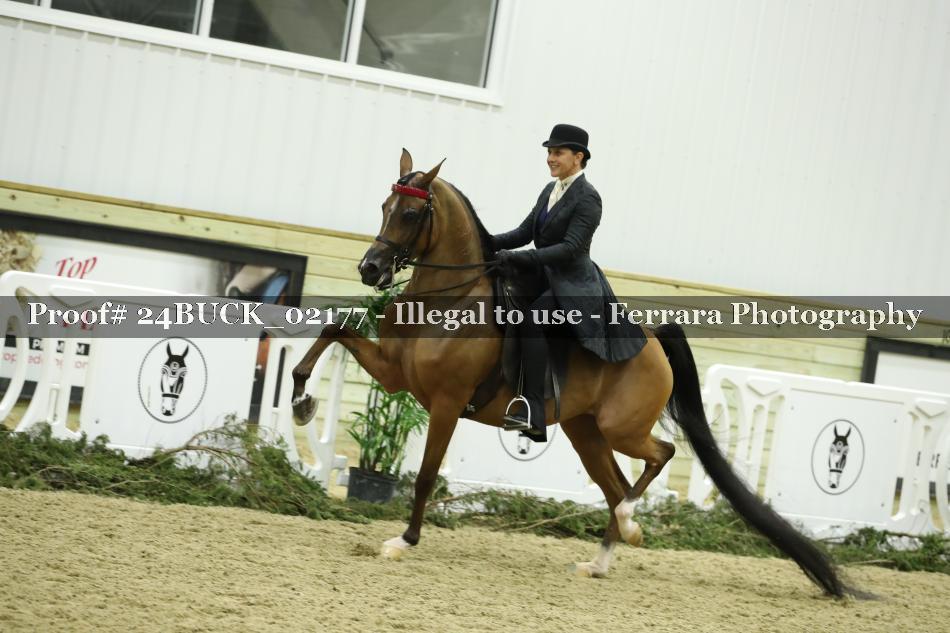 Proof 24BUCK_02177