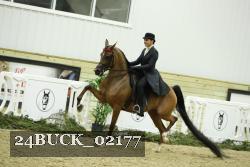 24BUCK_02177 proof