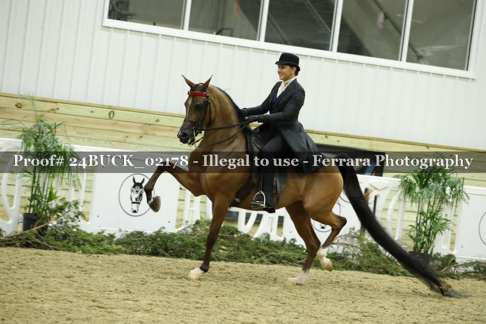 Proof 24BUCK_02178