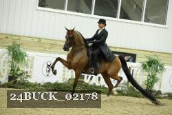 24BUCK_02178 proof