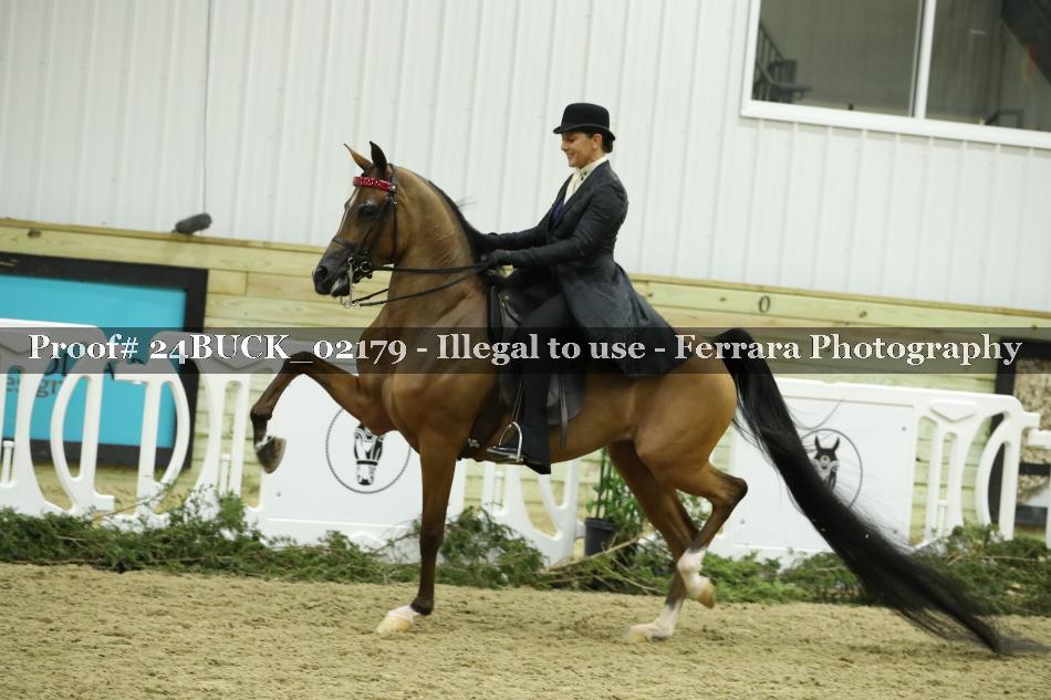 Proof 24BUCK_02179