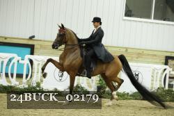 24BUCK_02179 proof