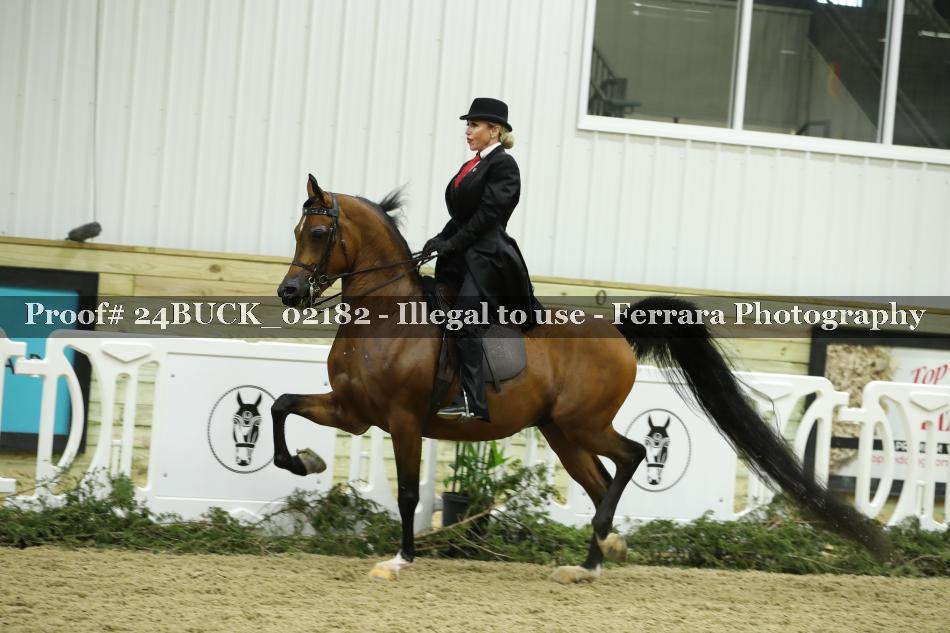 Proof 24BUCK_02182