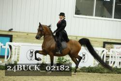 24BUCK_02182 proof