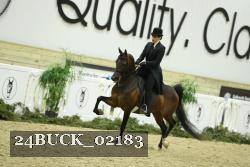 24BUCK_02183 proof