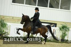 24BUCK_02185 proof