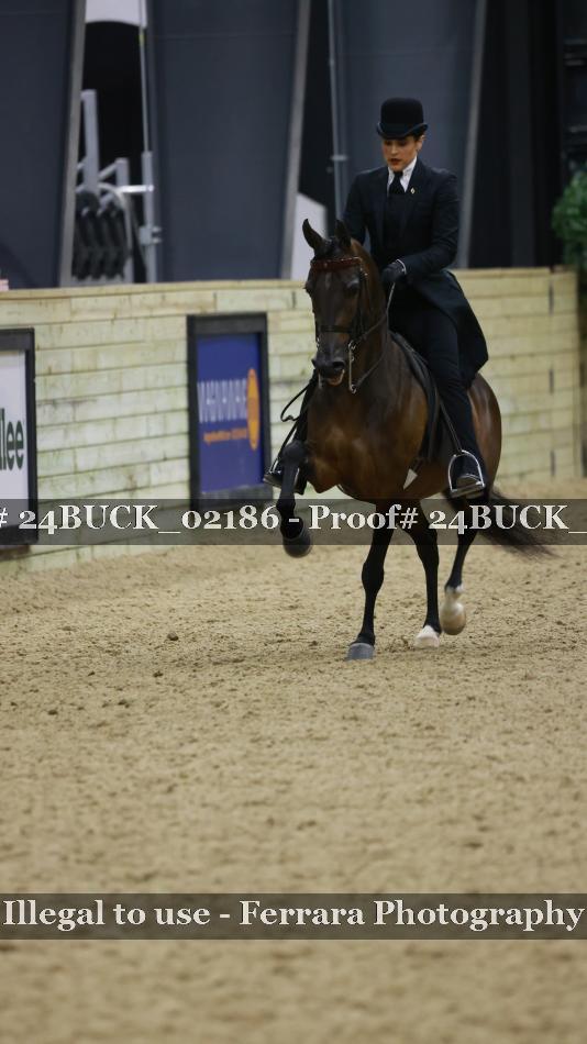 Proof 24BUCK_02186