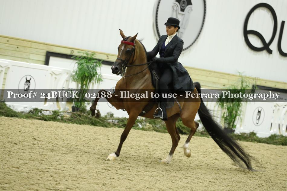 Proof 24BUCK_02188