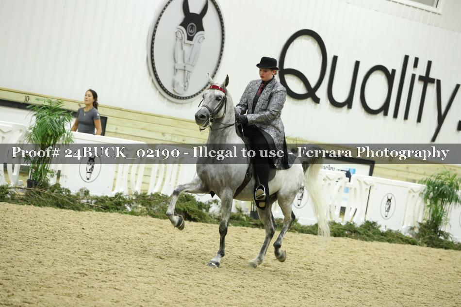 Proof 24BUCK_02190