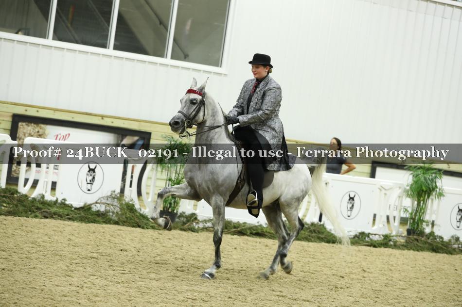 Proof 24BUCK_02191