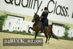 24BUCK_02196 proof
