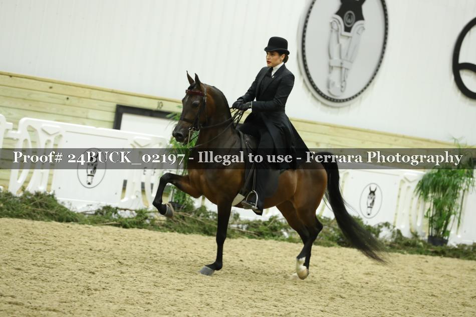 Proof 24BUCK_02197