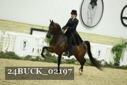 24BUCK_02197 proof