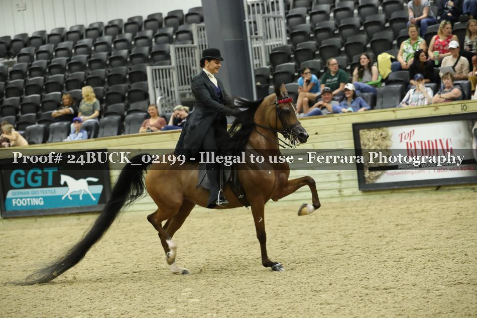 Proof 24BUCK_02199