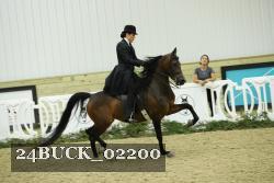 24BUCK_02200 proof