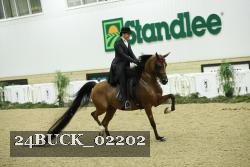 24BUCK_02202 proof