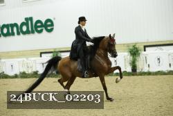 24BUCK_02203 proof