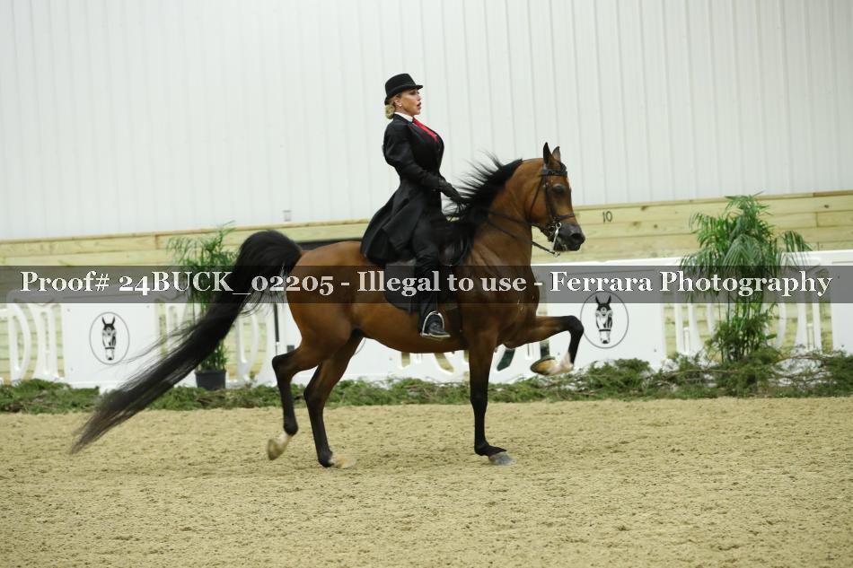 Proof 24BUCK_02205