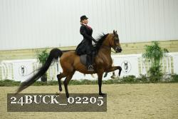 24BUCK_02205 proof