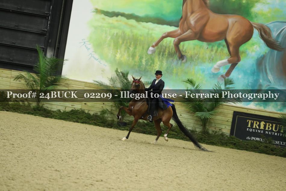 Proof 24BUCK_02209
