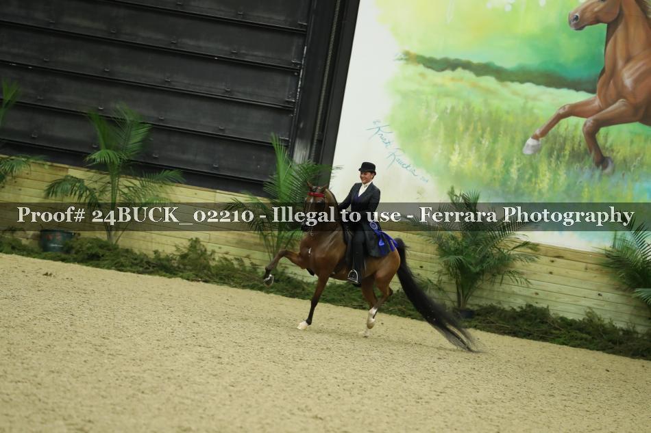 Proof 24BUCK_02210