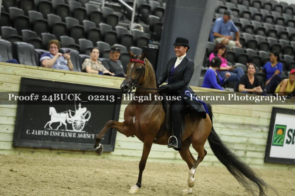 Proof 24BUCK_02213