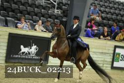 24BUCK_02213 proof
