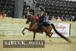 24BUCK_02214 proof