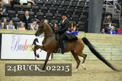 24BUCK_02215 proof