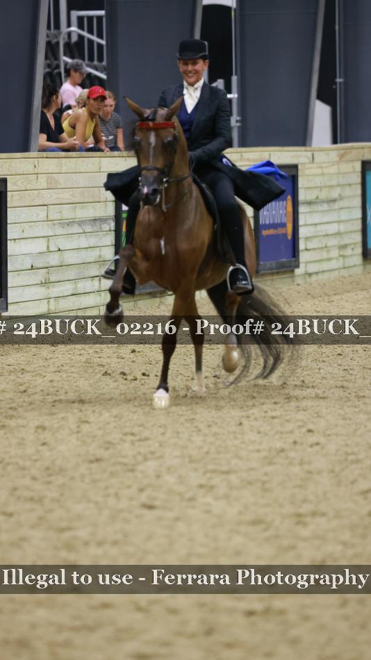 Proof 24BUCK_02216