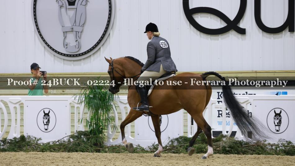 Proof 24BUCK_02224