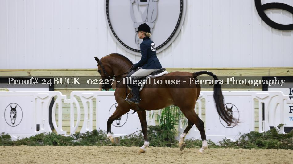 Proof 24BUCK_02227