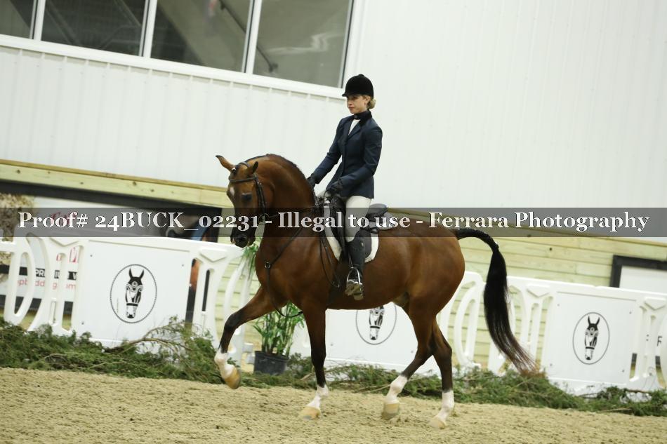 Proof 24BUCK_02231