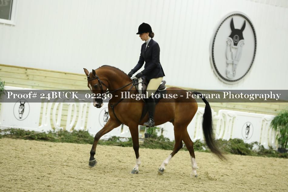 Proof 24BUCK_02239