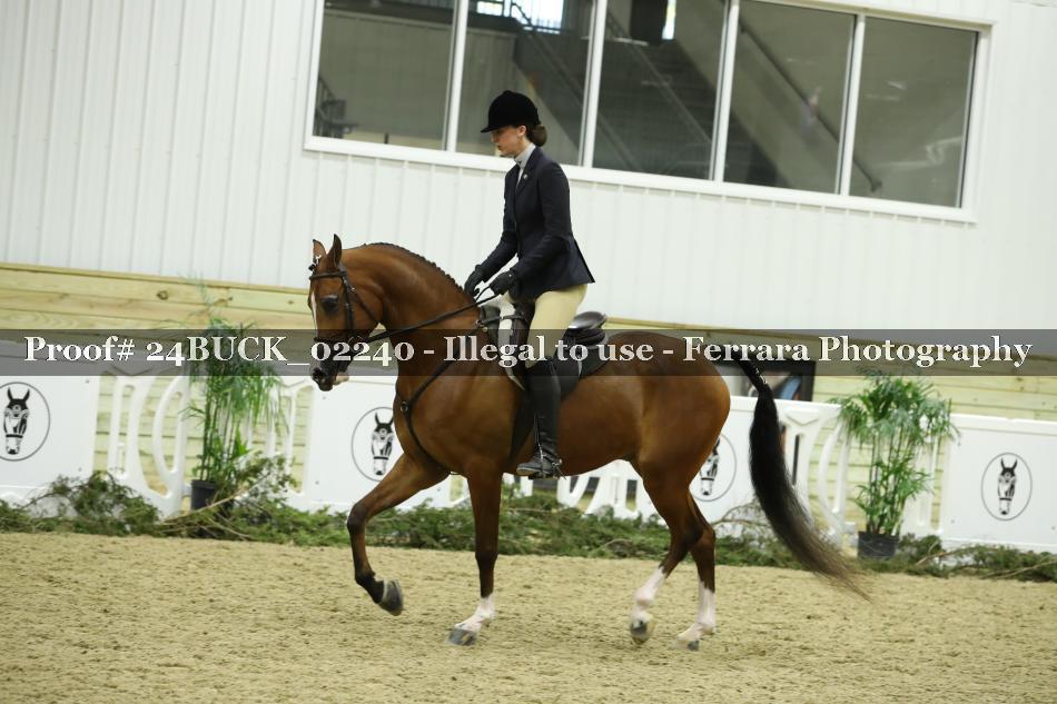 Proof 24BUCK_02240