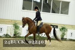 24BUCK_02240 proof