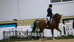 24BUCK_02242 proof